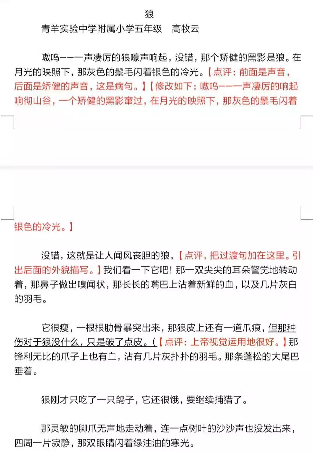 小记者课堂丨“中国动物小说大王”沈石溪：大胆模仿、大胆借鉴