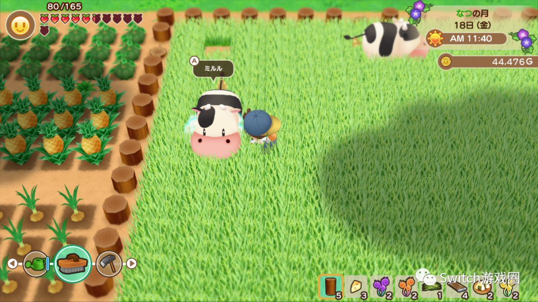牧场物语重聚矿石镇完美开局攻略,牧场物语重聚矿石镇第一年春攻略