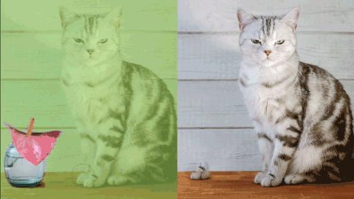 photoshop怎么局部填充颜色,photoshop填充图案怎么设置