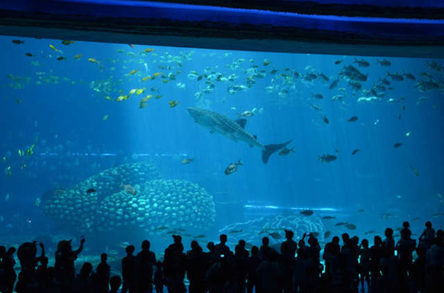 珠海长隆海洋王国游玩1天攻略,珠海长隆海洋王国1天游玩攻略