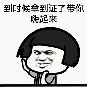 2019拿到驾驶证,2019拿到了驾照