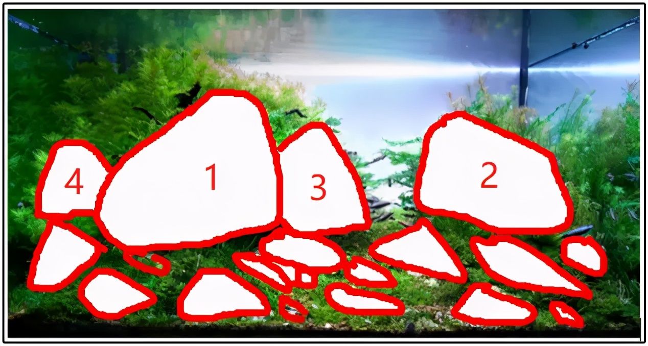 三角形构图水族造景,水族造景构图黄金比例