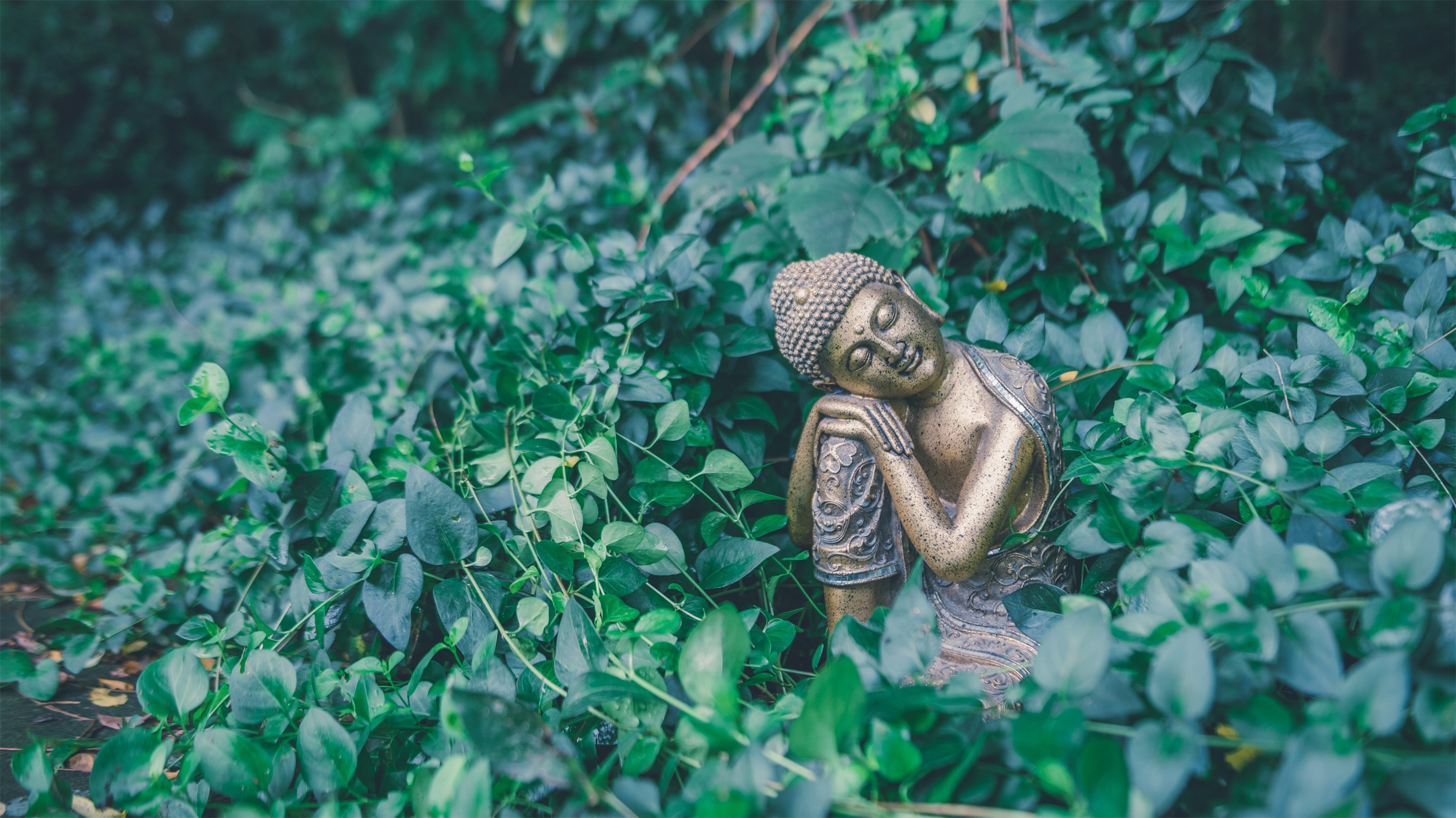 无锡拈花湾禅意度假游,无锡拈花湾最出彩的是