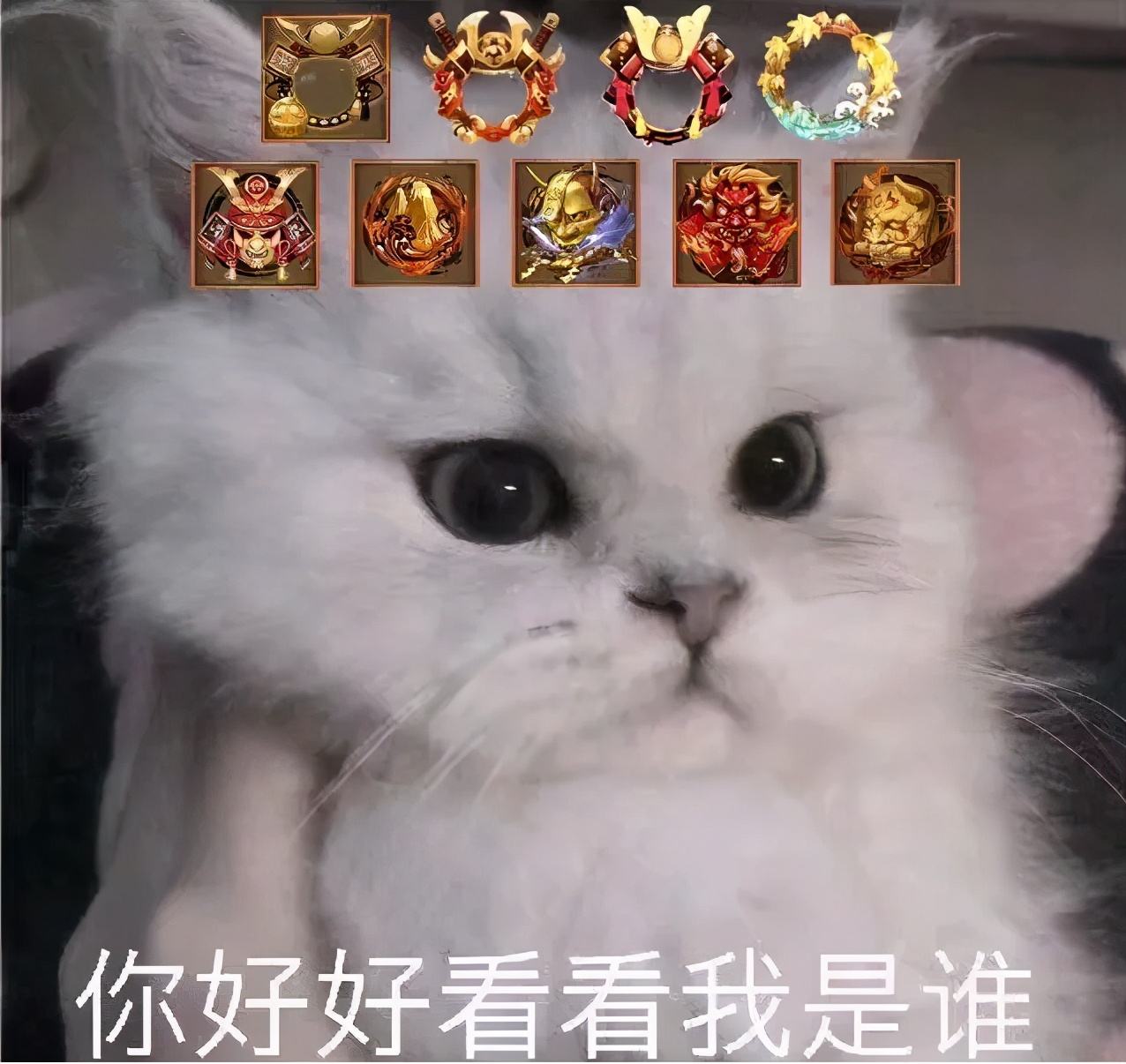 阴阳师的冷门小知识,你不知道的阴阳师冷知识