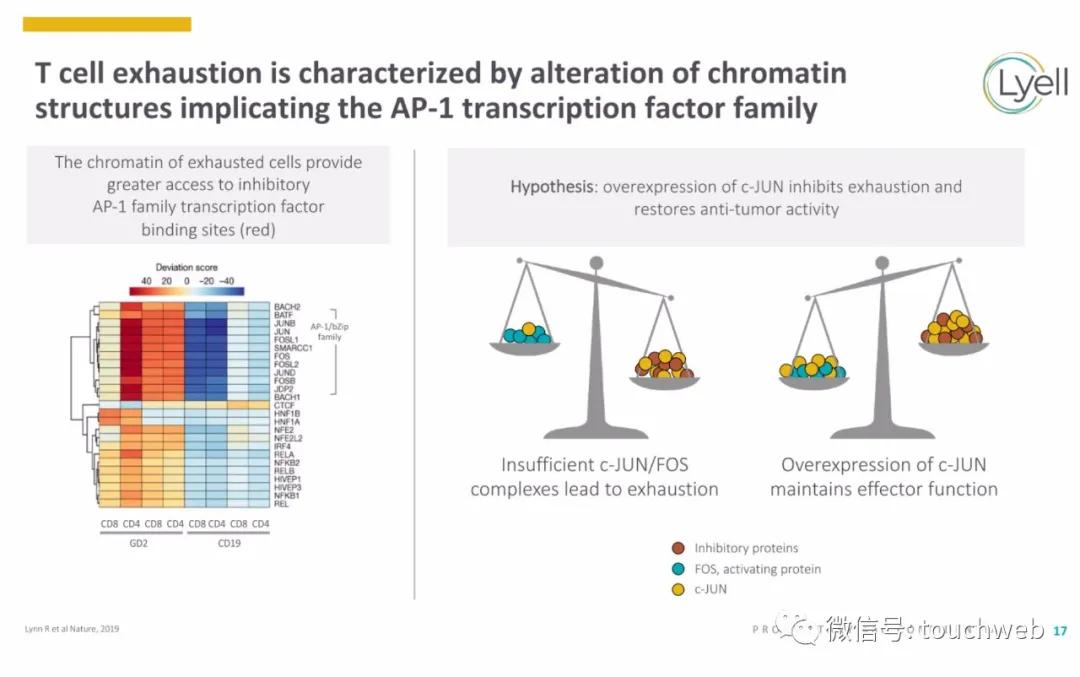 肿瘤免疫治疗公司Lyell冲刺美股：年亏2亿美元路演PPT曝光