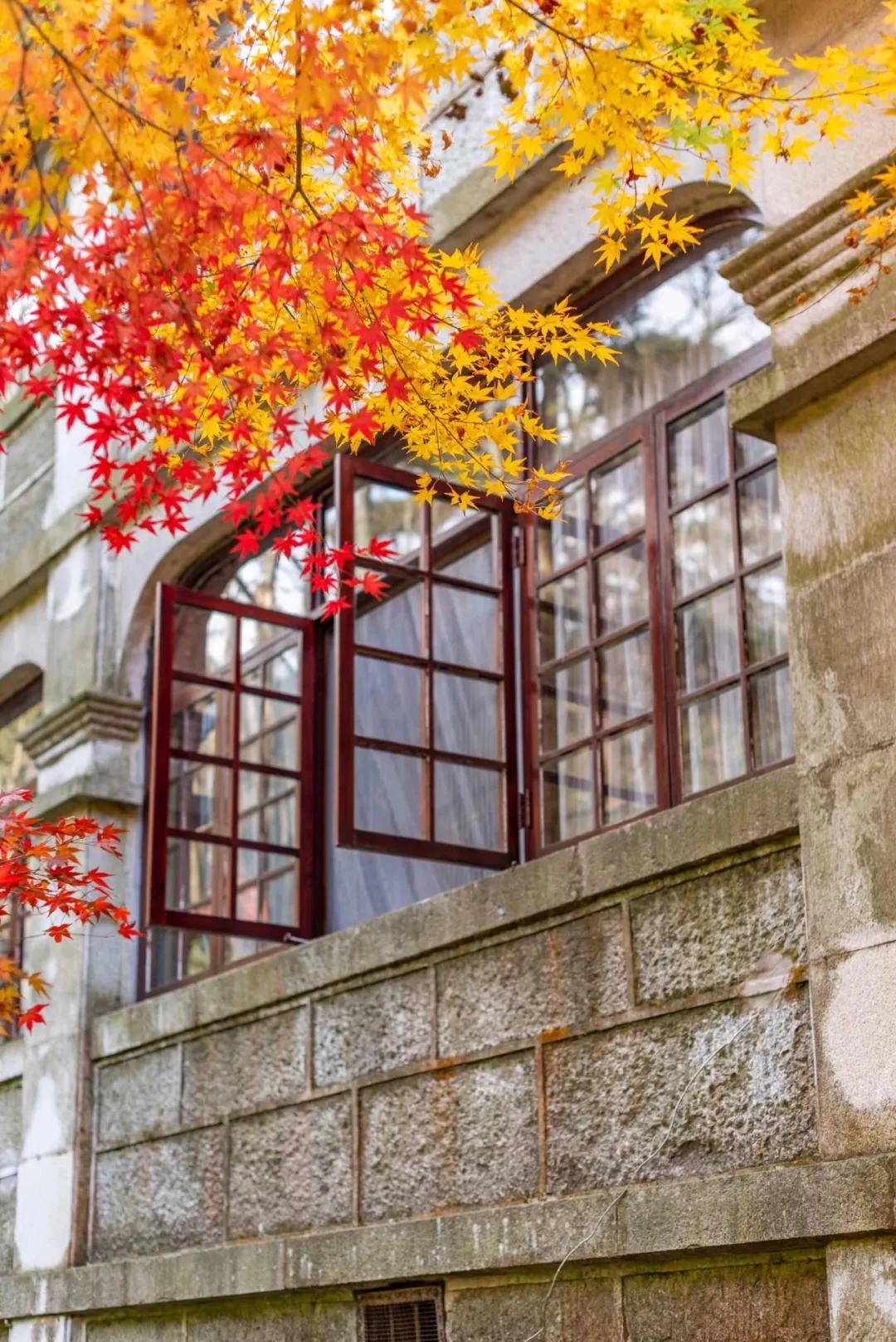 经典永存100句描写秋天的优美诗词,最美的秋天诗词