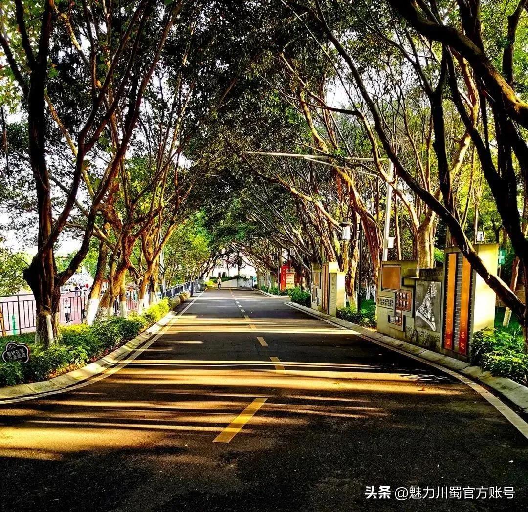 家长对学校家园合作评价,学生对绵阳南山中学评价