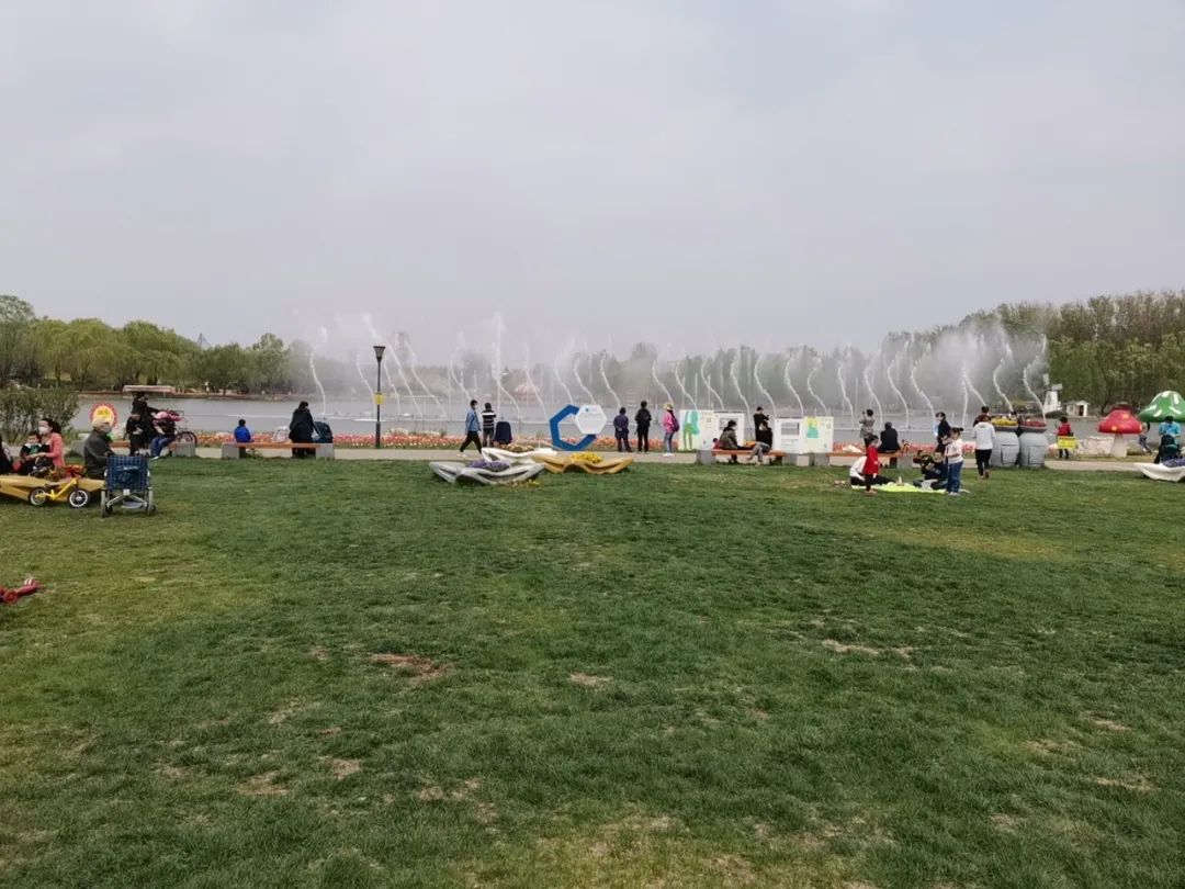 假装在国外北京篇,假装在荷兰完整视频