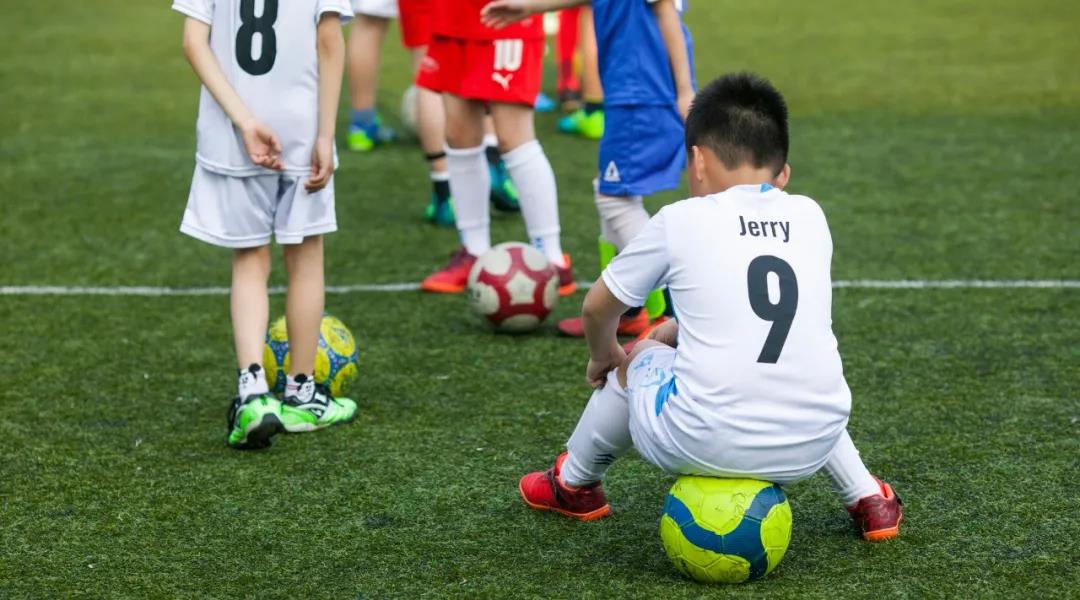 双减与体育赛事,双减政策体育类培训迅速升温