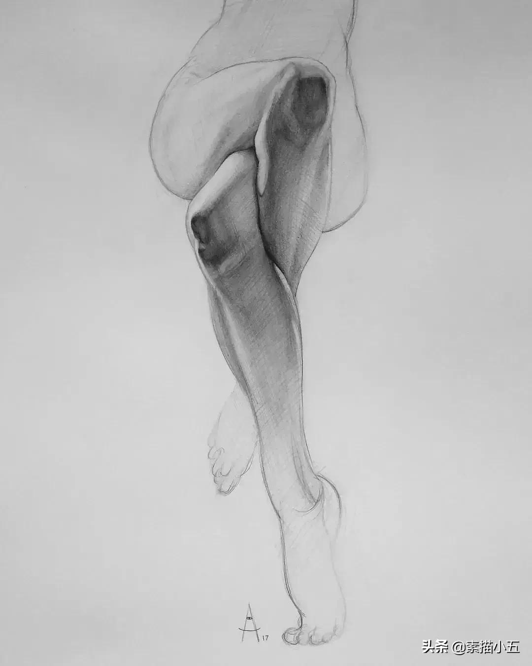 他画的素描无与伦比,他画的画栩栩如生让人拍案叫绝