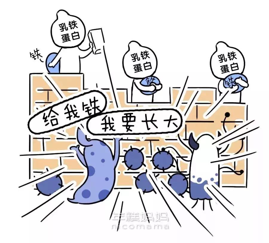 奶粉中促进消化吸收的成分是什么,配方奶粉里面有什么成分才是好的