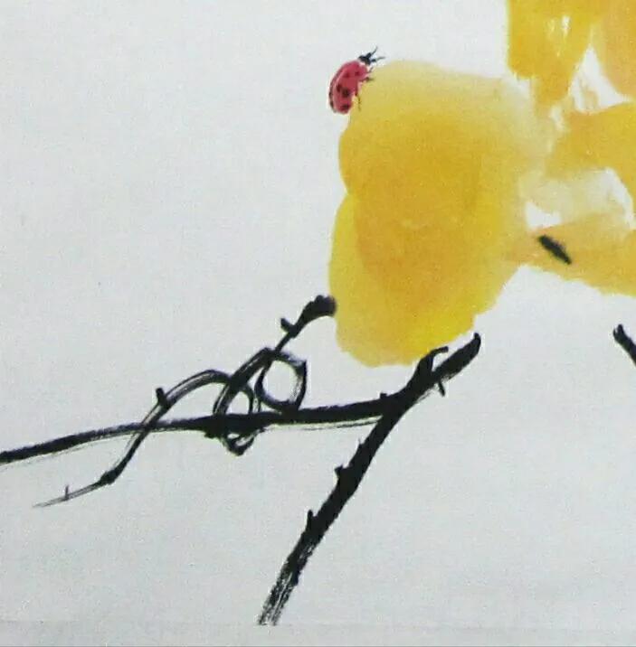 邹大耳写意画作品欣赏,邹大耳写意作品欣赏