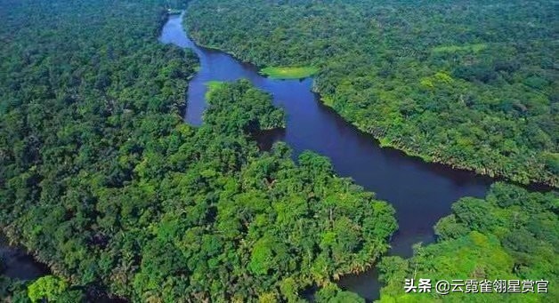 “绿色天堂”亚马逊雨林,实则是“人类禁区”,到底有多恐怖?