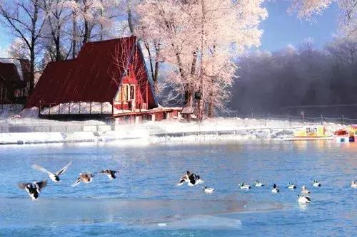 开眼｜为你揭秘“火华社长”代言的“冬之景”！