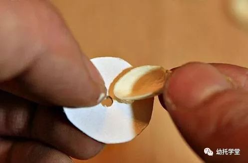 废物利用亲子手工制作坚果,创意坚果手工制作大全图片