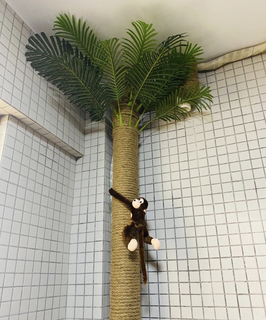 五个装修“遮丑”小技巧，简单易操作，让你的新家不留遗憾