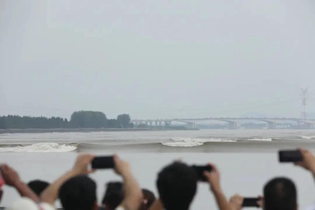 钱塘江观潮最佳时间和地点最近,钱塘江大潮最佳免费观潮地点在哪