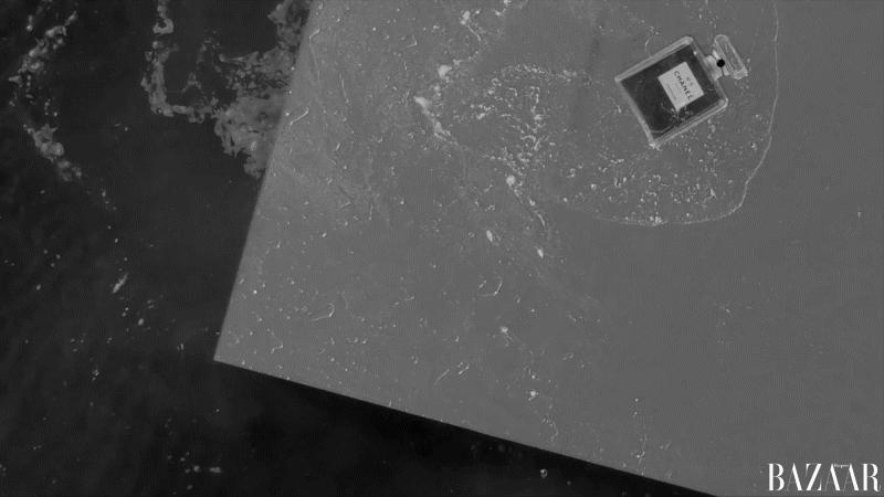 井柏然写意空间,井柏然你爱过我吗