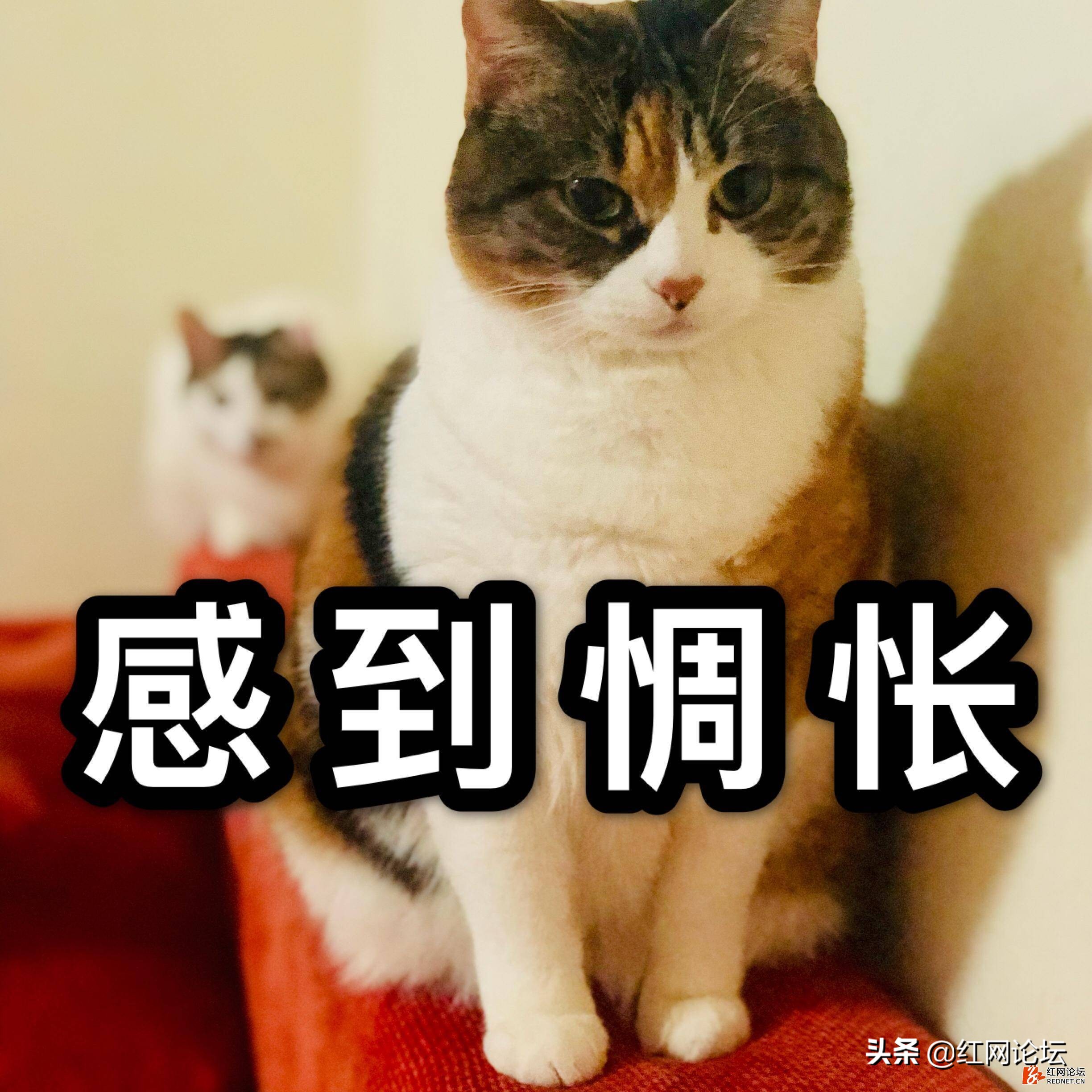 一毛钱的硬币该怎么处理,一元硬币如何处置