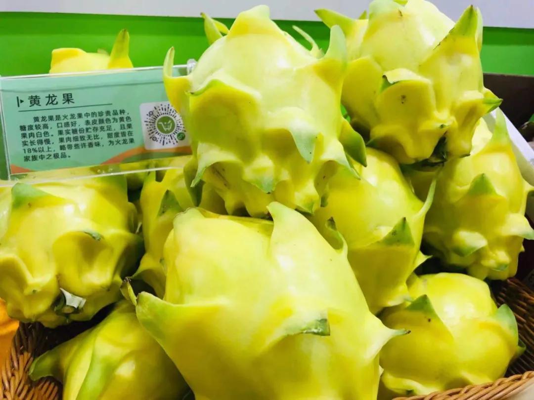 第19届农交会上的这些名特优农产品火了，有你家乡的吗？