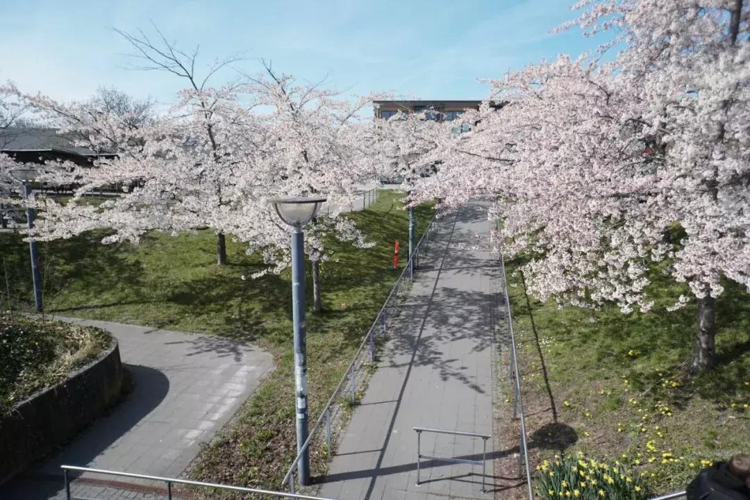 菅田将晖saveme,菅田将晖cityboy