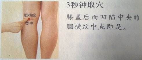 十大实用针灸穴位,针灸特殊穴位主治歌诀