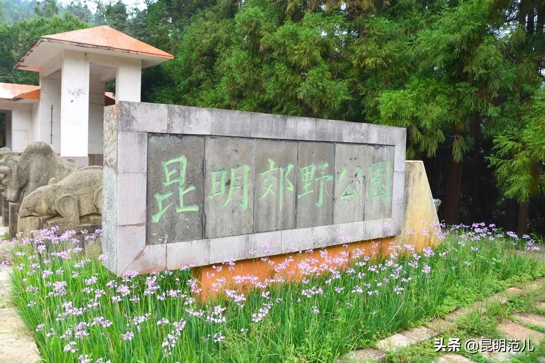 春节昆明周边自驾游攻略,昆明周边亲子游自驾游攻略