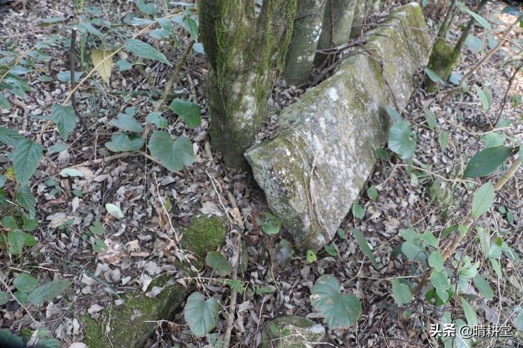 赣州峰山附近一日游自驾游景点,赣州峰山美景