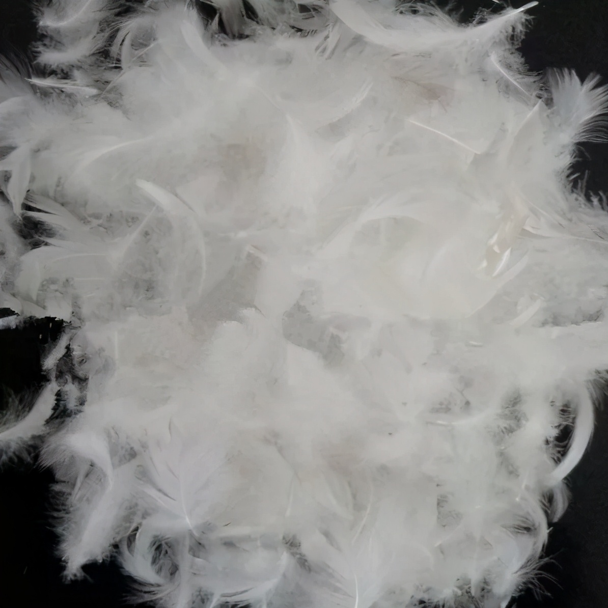 红星美凯龙探店视频,红星美凯龙卖的沙发好吗