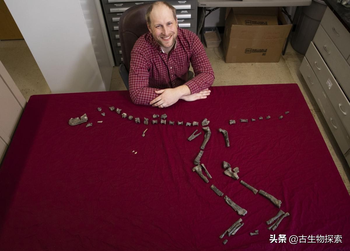 原始暴龙和原始大猩猩,发现远古传说中的霸王龙