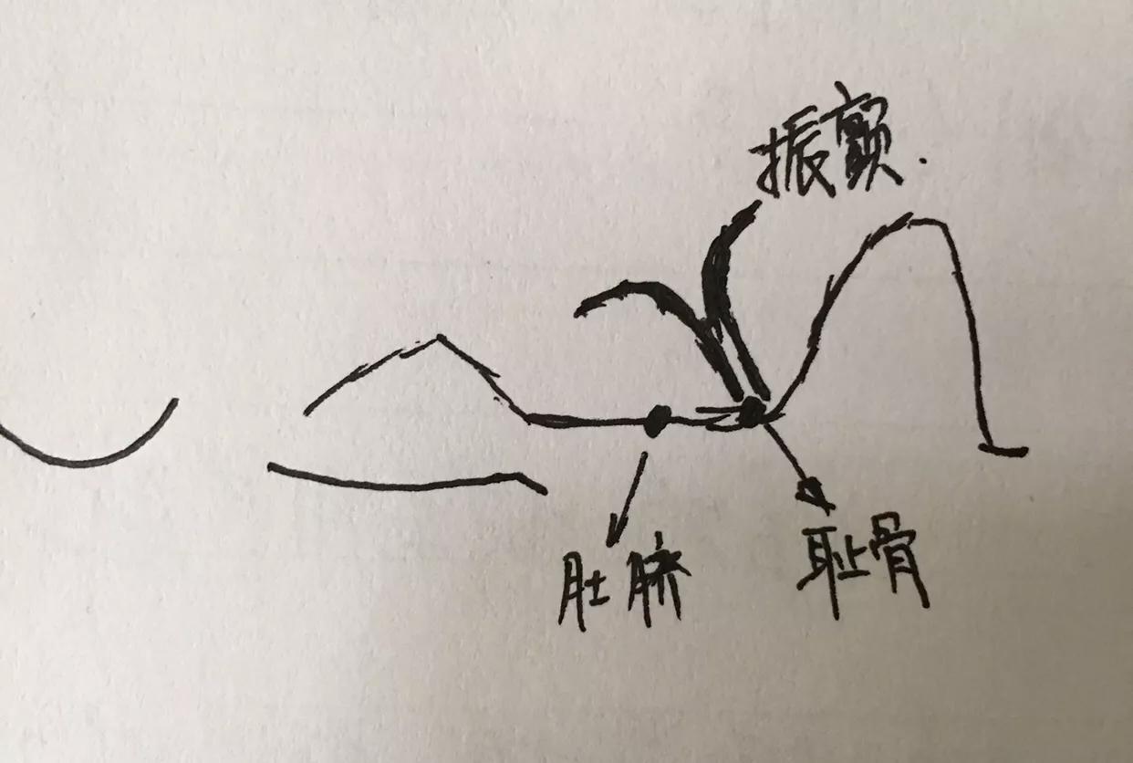 产后子宫下垂、漏尿,便秘,医生都没啥好办法,这2招却很管用