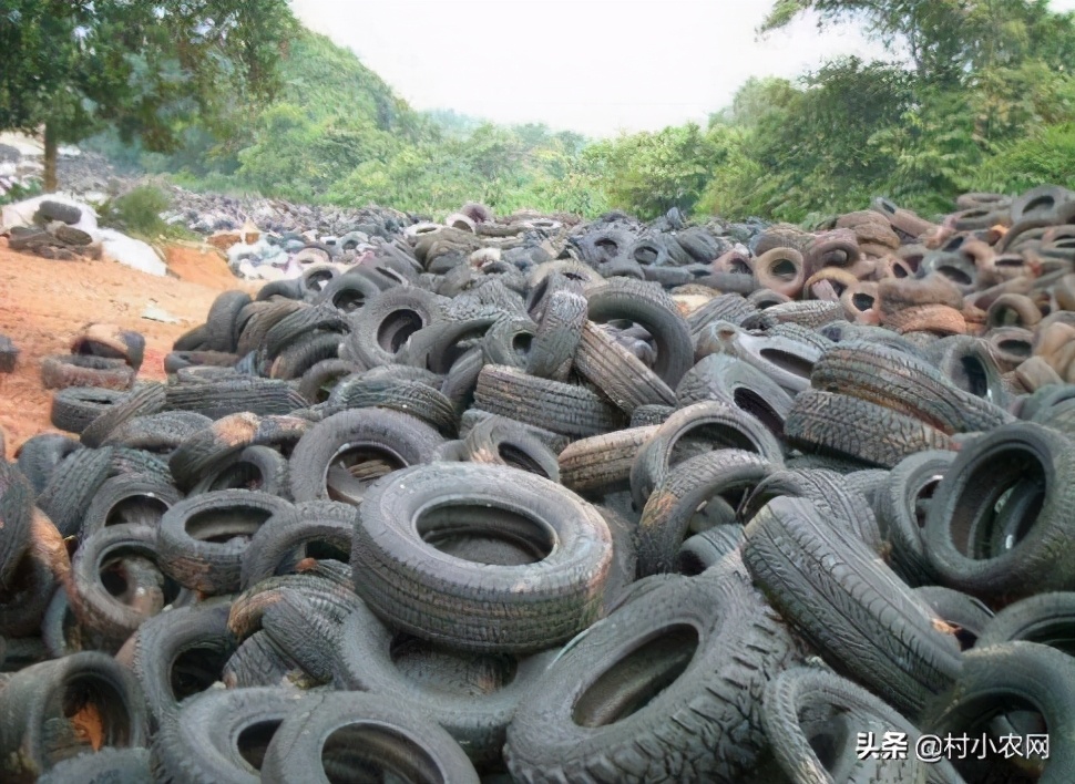 适合农村创业的最新致富项目,多个适合在家里创业致富的好项目