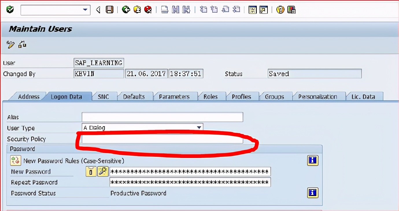 sap默认密码,sap设置用户可以自己改自己的密码