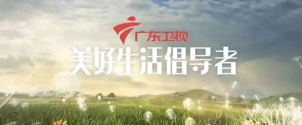 广东卫视2020年,广东卫视布局