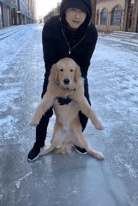 两根黄瓜搞笑图片,腰椎间盘突出搞笑图片高清大图