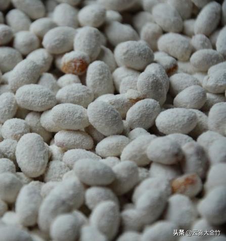 家庭自酿黄豆酱（酱油）-感受食品发酵的神奇