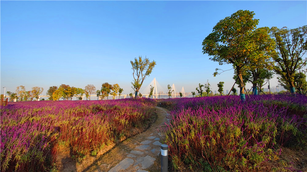 汉口江滩四期向游客开放,武汉打卡江滩公园