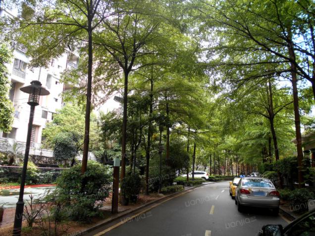 深圳地铁10号线房子价格,深圳地铁10号线沿线房价