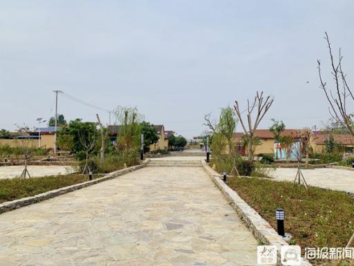 20多家主流媒体齐聚,一百多家媒体关注蒙阴