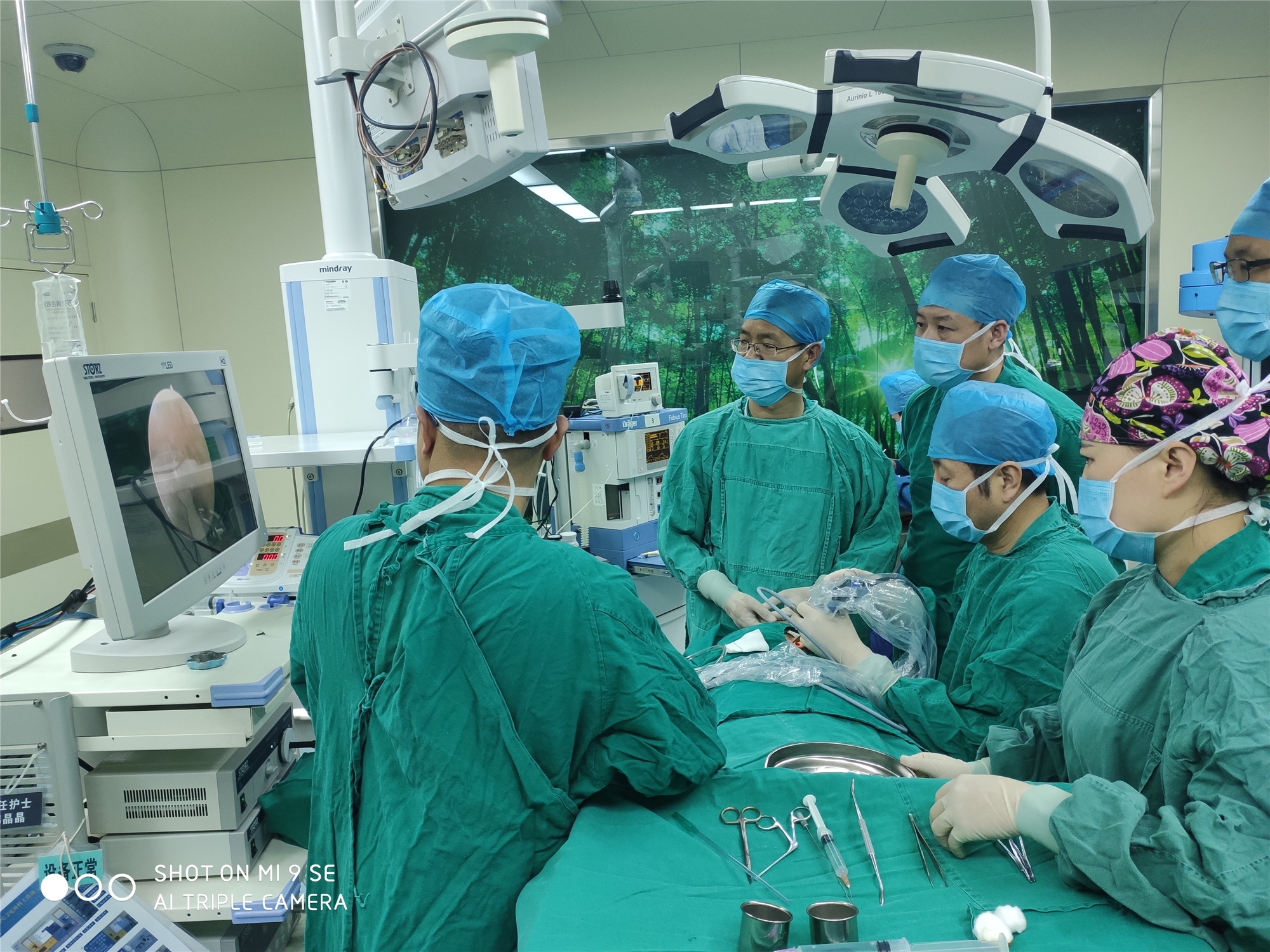 「我们的科室系列」之～～耳鼻喉科