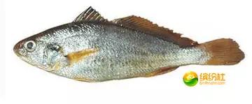 舟山4月份海鲜攻略,舟山海鲜代加工攻略