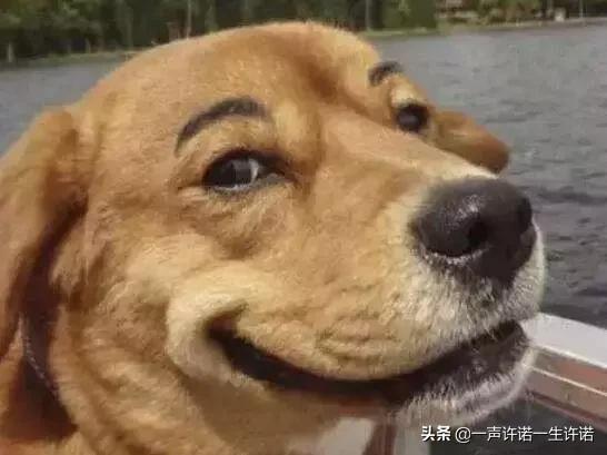 造人全过程，别不好意思看