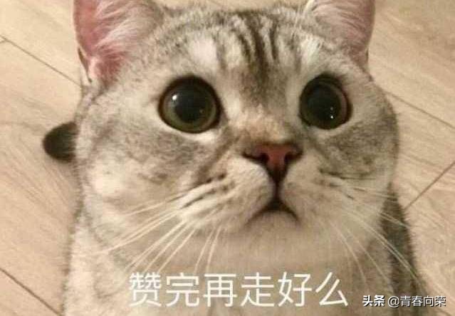 怎样买电脑椅也更便宜,几百块的电脑椅怎么选