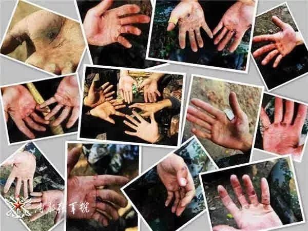 看这一双双手它们有一个共同的主人——工兵