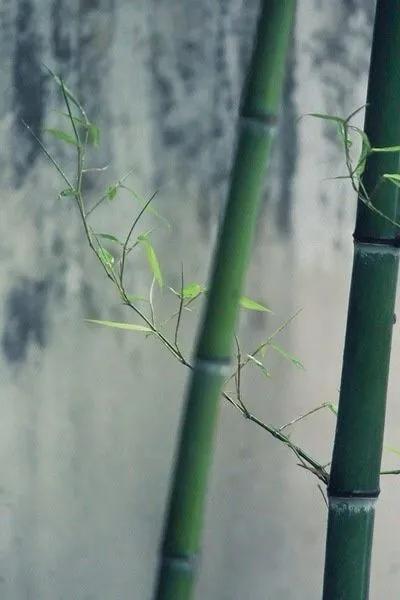 南怀瑾人倒霉的时候怎么办,南怀瑾人倒霉的时候如何转运