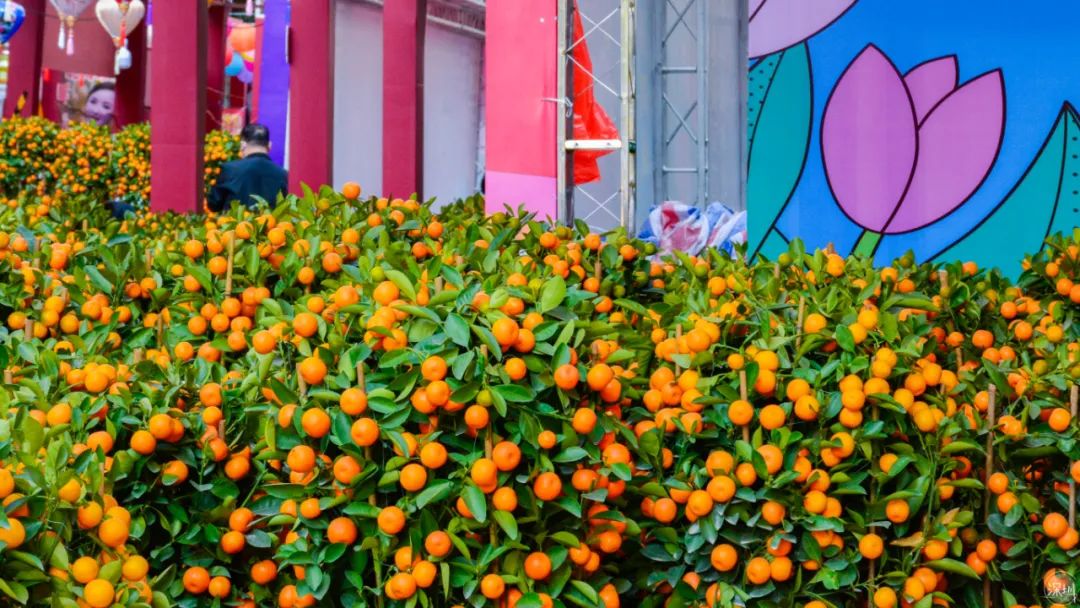 上梅林有什么景点玩,上梅林好吗