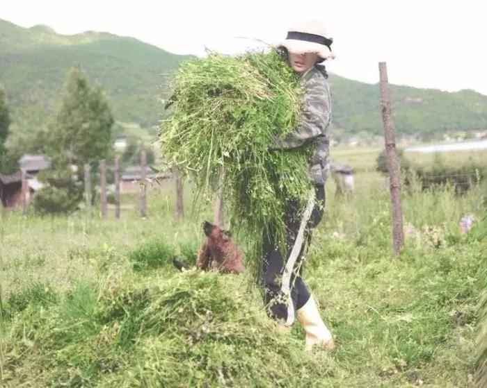“园艺疗法”治愈抑郁症女孩，与植物对话可舒缓情绪，感知自我