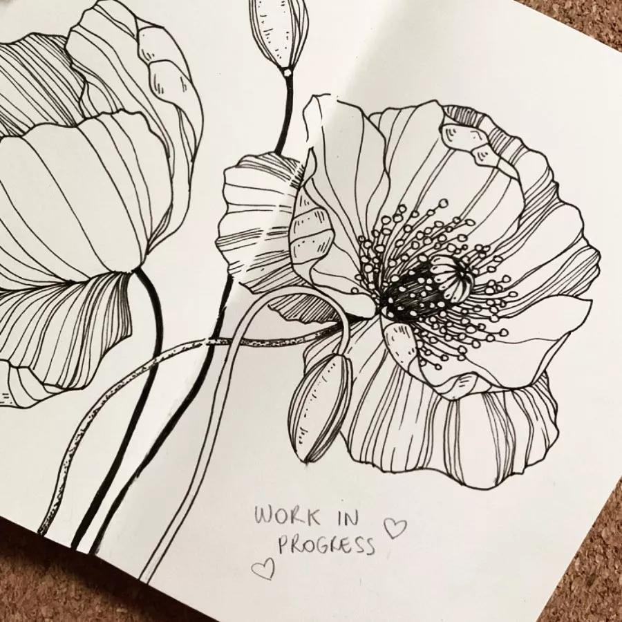 一看就懂的针管简笔画,针管笔入门手绘1000例临摹图