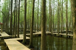 苏北到底是现在的哪几个省,苏北现实情况