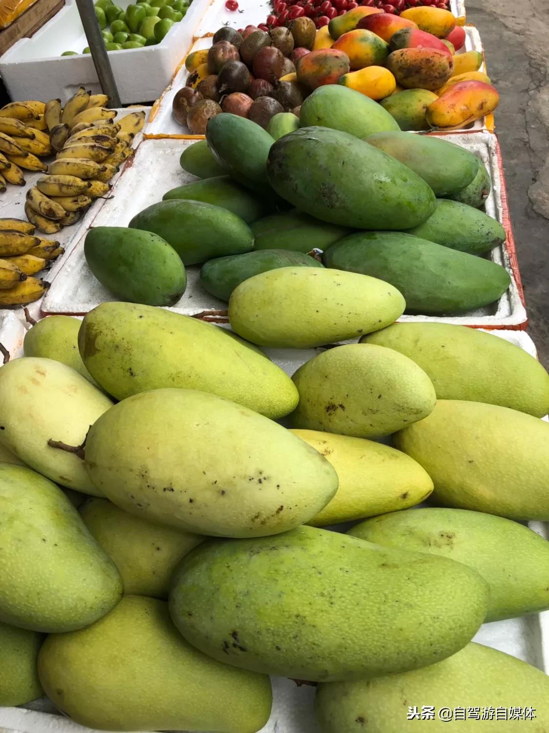 海南儋州白马井镇有什么好玩的,中国海南省儋州市白马井镇